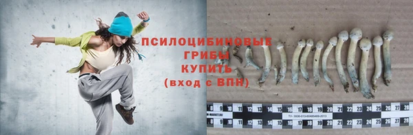 каннабис Белокуриха
