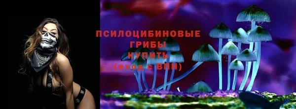 гидра Беломорск