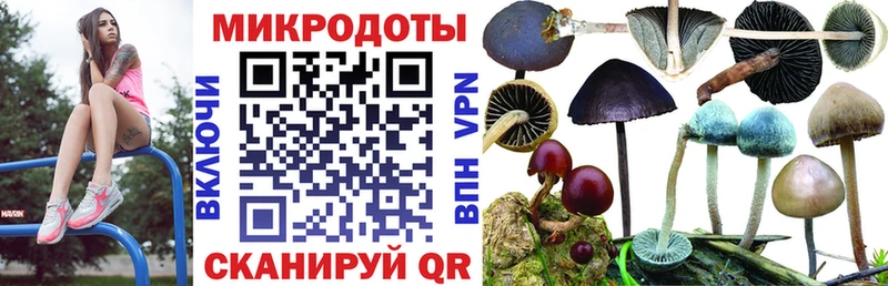 Галлюциногенные грибы прущие грибы  Гудермес 